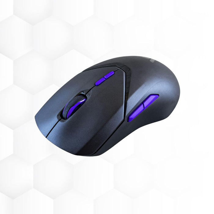 Mouse